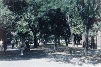 Park at the Baths of Diocletian thumbnail