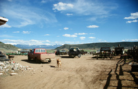 Farm animals and equipment 011 thumbnail