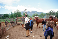 Lake Carrico 012 thumbnail