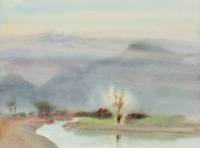 Enterprise Canal With Blossom Tree thumbnail