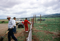 Kaber farm, Plowed fields and crops 003 thumbnail