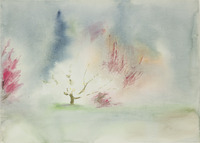 13 Shin Zen Garden thumbnail