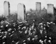 Hilltop Cemetery thumbnail