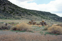 River and hay baling 029 thumbnail