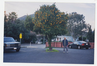 Howard Louis [under an orange tree] thumbnail