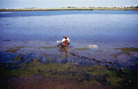 Pt. Mugu Wetlands thumbnail