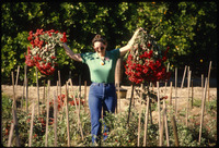 [Student carrying bundles of red flowers] thumbnail