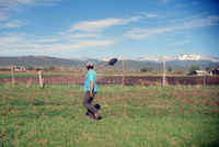 Kaber farm, Crops in the field 052 thumbnail