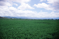 Kaber farm, Water control 029 thumbnail