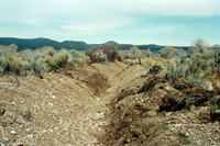 Maistas farm, Ditch and cattle 037 thumbnail