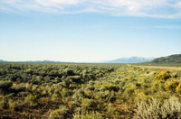 San Luis Valley farms 058 thumbnail