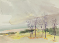 Woodward Park Trees And Clouds thumbnail