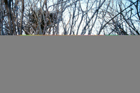 Gallegos farm 044 thumbnail