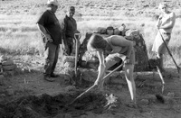 Gallegos farm, Horno construction 098 thumbnail