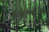 Mountain landscapes 020 thumbnail