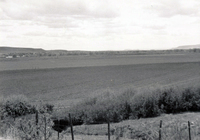 Orchard and valley 004 thumbnail