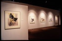 Coastal Gallery detail thumbnail