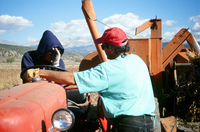 Gallegos farm, Hay baling 013 thumbnail