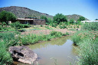 Kaber farm, Animals 004 thumbnail