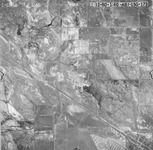 1950 ABI-15G-173 [Fresno County, California aerial survey, 1950]. thumbnail