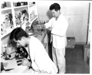 Laboratory technicians. thumbnail