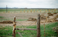 Gallegos farm, Building house fence 006 thumbnail