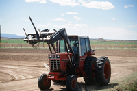 Gallegos farm, Ranching 015 thumbnail