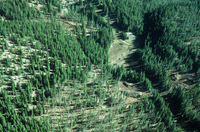 San Luis Valley aerial photos 001 thumbnail