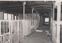 Stables and Livestock PensCamarillo State Hospital (1936-1997) thumbnail