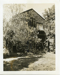 Kofoid, Prof. Nelson, two residences, Berkeley, 1904 thumbnail