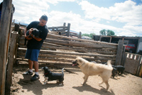 Kaber farm, Crops in the field 063 thumbnail
