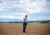 Kaber farm, Field burning and plowing 016 thumbnail