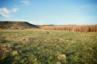 Landscapes and cattle 033 thumbnail