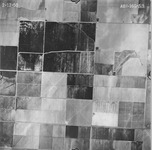 1950 ABI-16G-53 [Fresno County, California aerial survey, 1950]. thumbnail