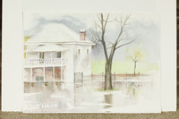 White House And Tree Reflection thumbnail