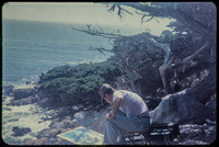 Rollin paints 17-Mile Drive thumbnail