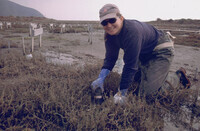 Pt. Mugu Wetlands thumbnail
