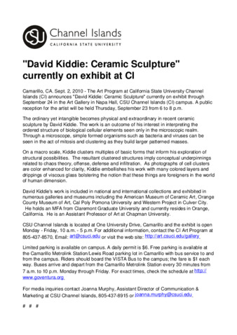 David Kiddie: Ceramic Sculpture currently on exhibit at CI thumbnail