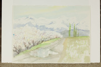 Pale Blossoms And Snow thumbnail