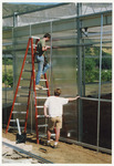 [Greenhouse wall installation] thumbnail