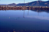 Pt. Mugu Wetlands thumbnail