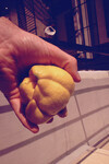 The "Chicken Lemon" from Dave Jacob's Yard thumbnail