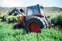 Gallegos farm, Ditch clearing 030 thumbnail