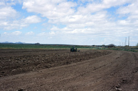 Gallegos farm, Fields and plowing 011 thumbnail