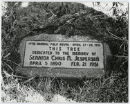 file details
