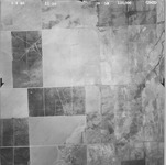 1946 GS-CO 20-59 [Fresno County, California, aerial survey, 1946] thumbnail