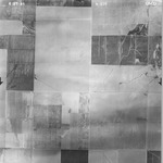 1946 GS-CO 8-137 [Fresno County, California, aerial survey, 1946] thumbnail