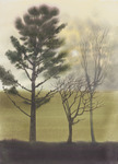 11 Untitled Trees thumbnail