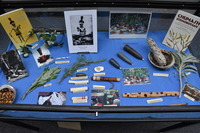 Native Voices Exhibit thumbnail