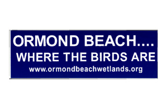 Ormond Beach bumper sticker thumbnail